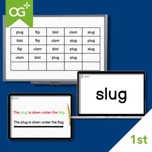 OG+ Decodable Fluency Slide Set - First Grade