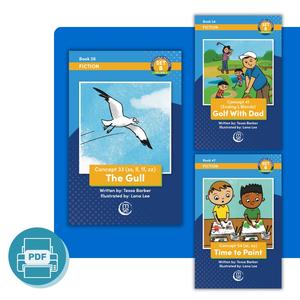 OG+ Decodable Readers Set B Fiction Volume 2 - PDF